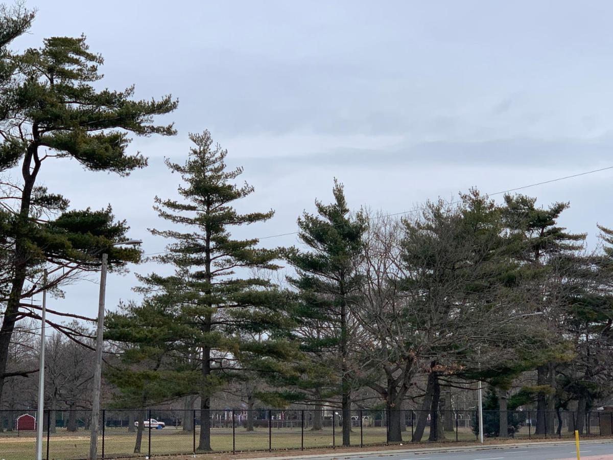 Coliseum Inn & Suites - Garden City Long Island East Meadow Екстериор снимка
